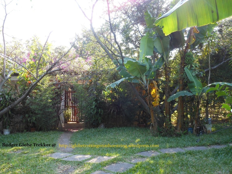 Casa Rosario garden
